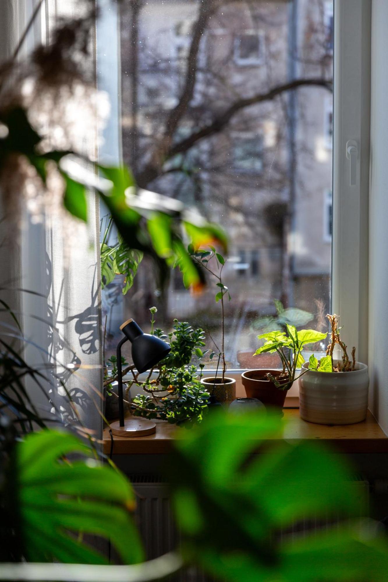 Evergreen - Old Town Spacious Stylish Apartment With Ac And One And A Half Bath, Baby & Kid- Friendly Bratislava Extérieur photo
