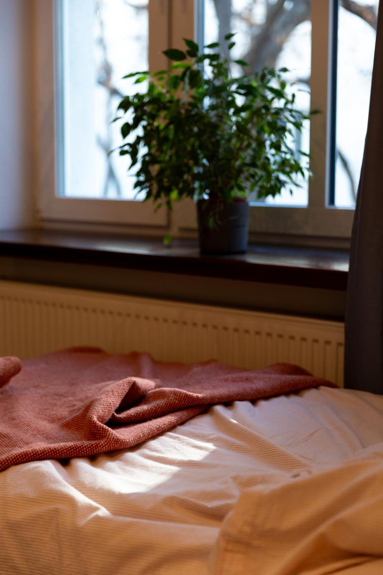 Evergreen - Old Town Spacious Stylish Apartment With Ac And One And A Half Bath, Baby & Kid- Friendly Bratislava Extérieur photo