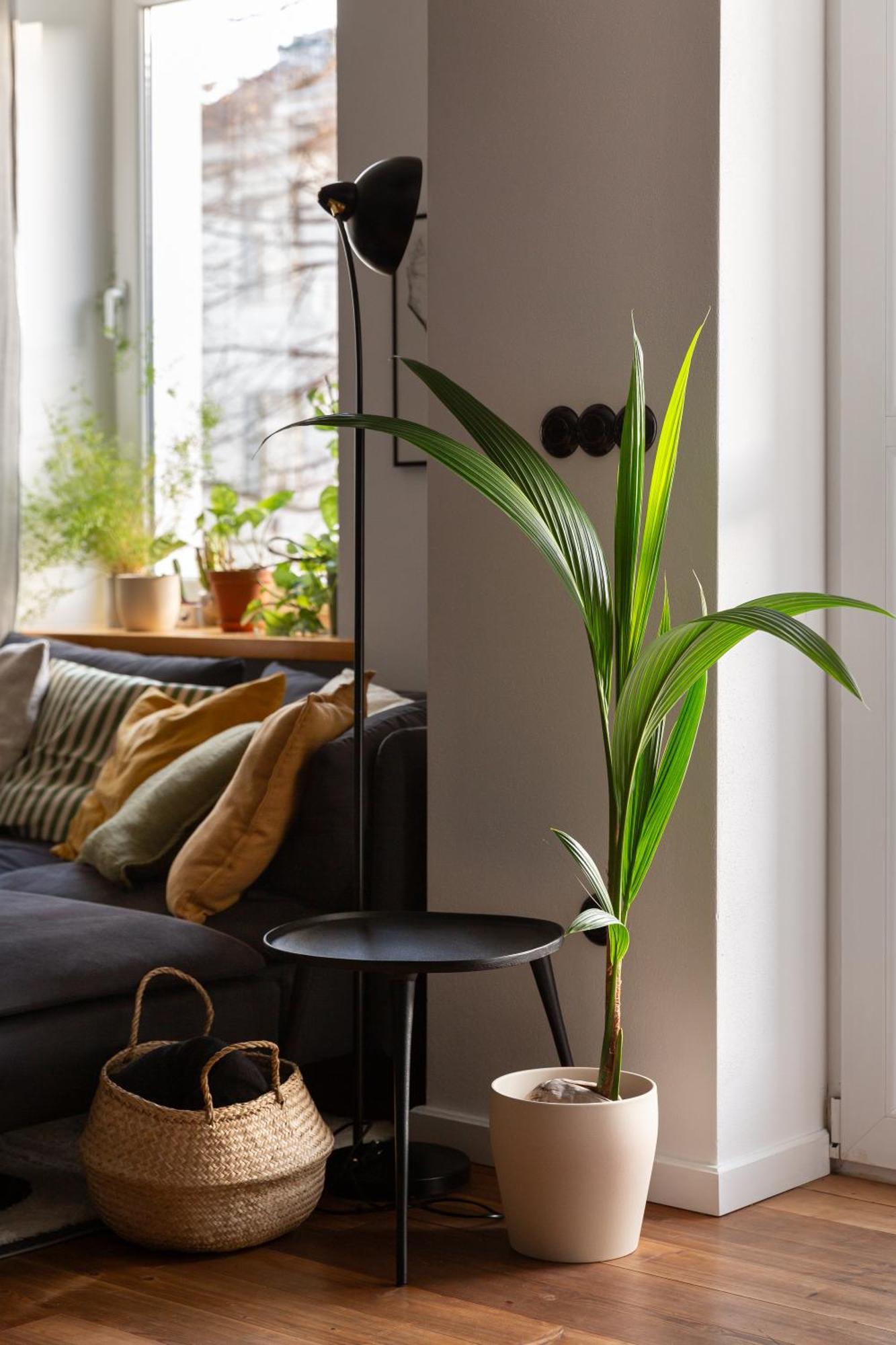 Evergreen - Old Town Spacious Stylish Apartment With Ac And One And A Half Bath, Baby & Kid- Friendly Bratislava Extérieur photo